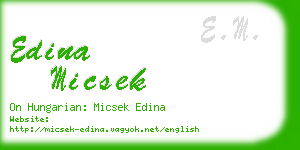 edina micsek business card